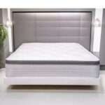 Encapsulated 13 inch 3500 Pocket Spring Pillow