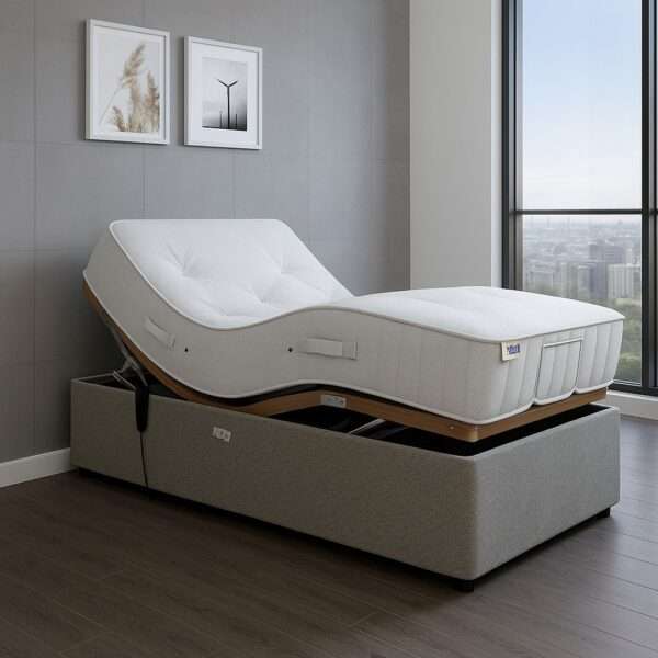 Electric Adjustable Mobility Bed with Memory Mattress